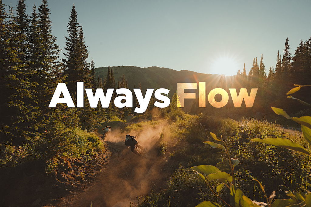 Always Flow series header image