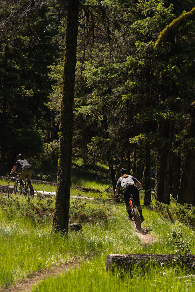 Green green grass and thin brown ribbons of single track.