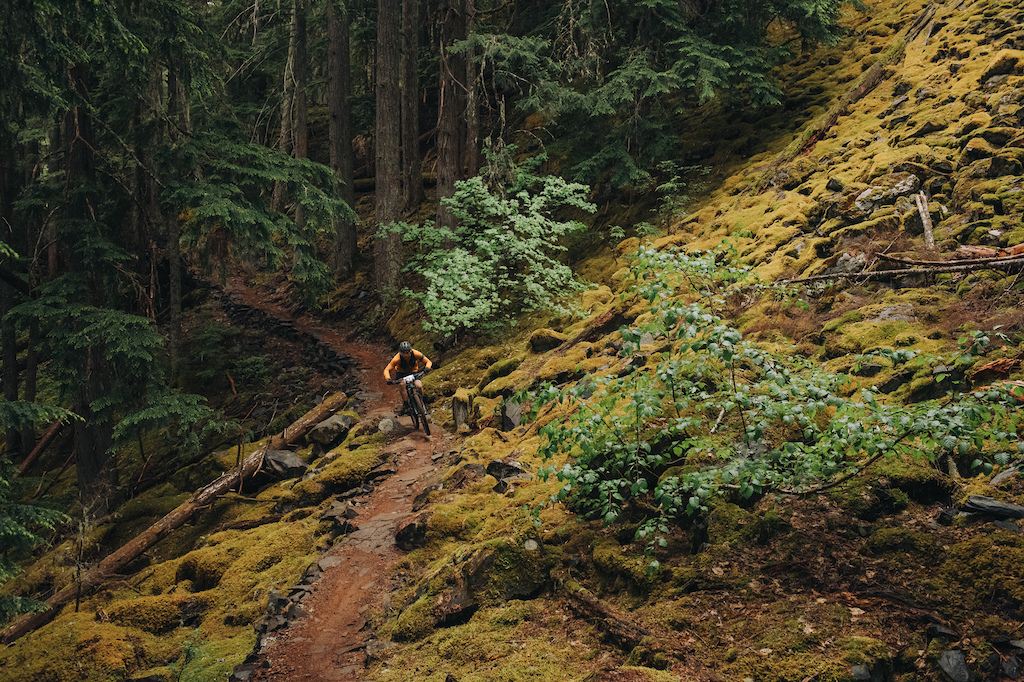 Photo Credit Margus Riga