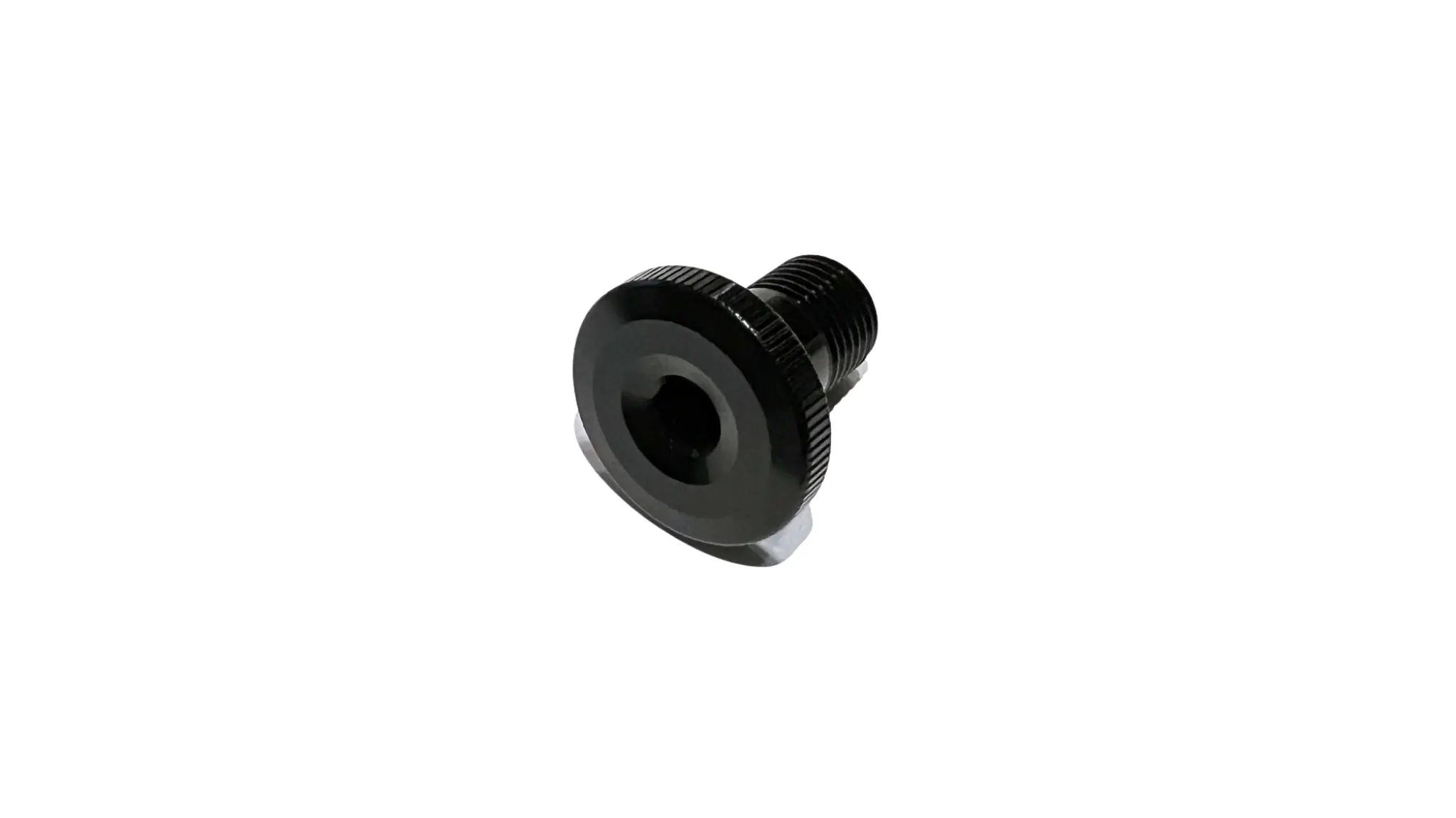 S220500003 - PARAFUSO DE MONTAGEM DA BATERIA LEVO G3 2022, M12X1,25 X 20 1 S220500003 - PARAFUSO DE MONTAGEM DA BATERIA LEVO G3 2022, M12X1,25 X 20 - Imagem 1