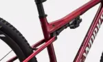BICICLETA S-WORKS EPIC 9 - Imagem 7